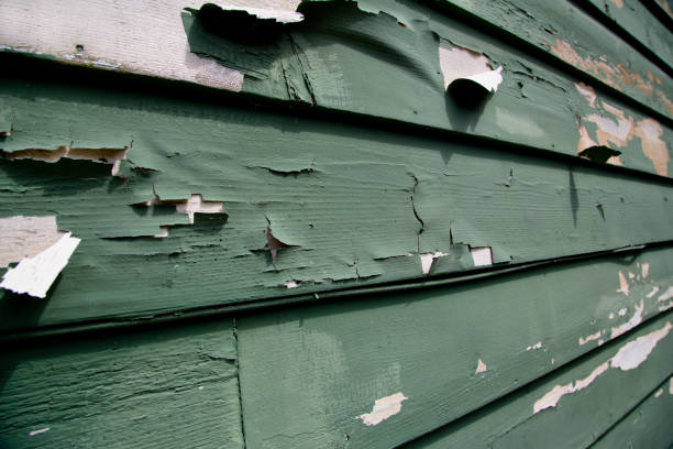 Same-Day Junk Removal Services in Waimea, HI
