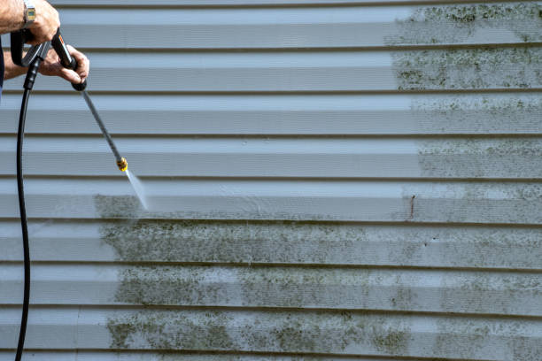 Best Property Management Cleanouts  in Waimea, HI